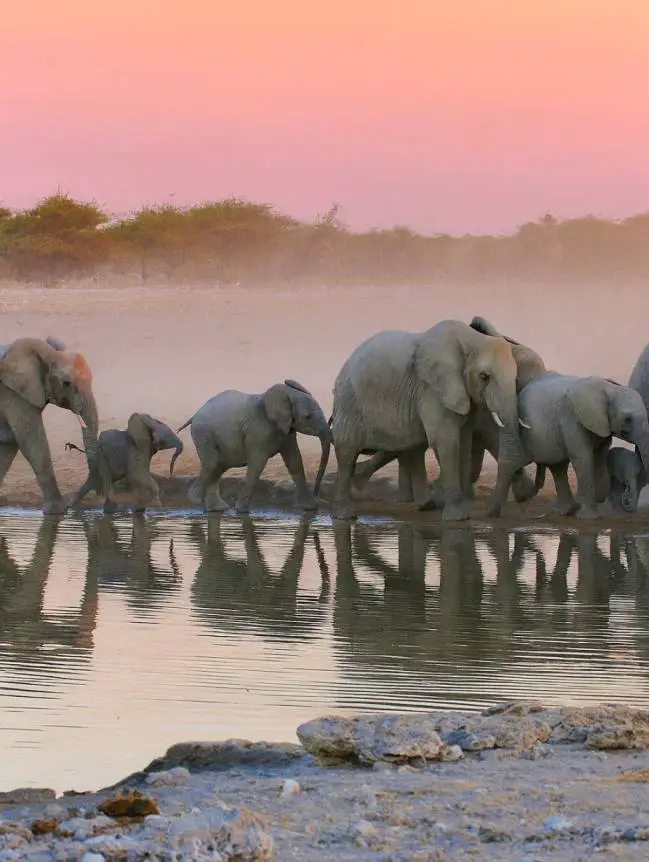 Countries to Travel That Will Surprise You
